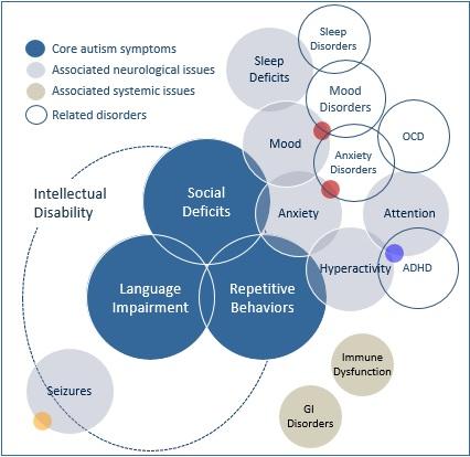 Autism Spectrum Disorder Linked To >> Help For Kids With Autism In Draper Ut Functionabilities Autism Spectrum Disorder Linked To >> Help For Kids With Autism In Draper Ut Functionabilities